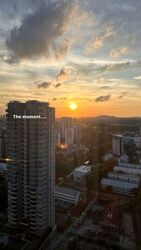 Newton 21 (D11), Apartment #567988071